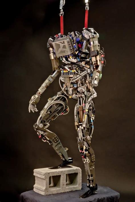 PETMAN (Protection Ensemble Test Mannequin) Humanoid Military Robot ...