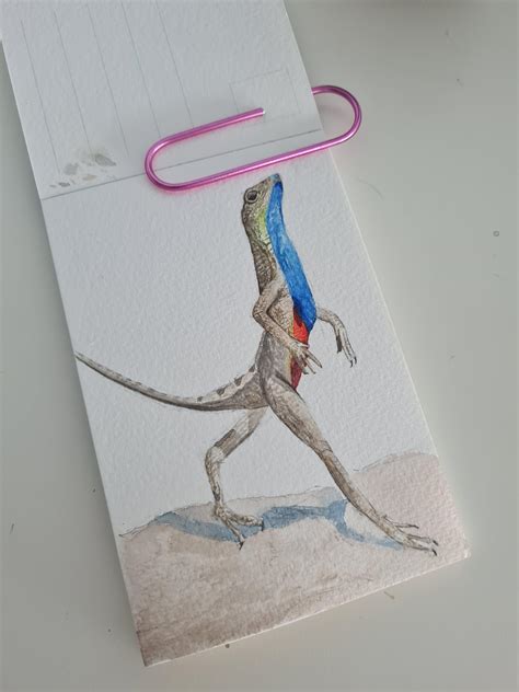 Frilled Lizard loving life : r/Watercolor