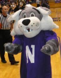 Willie the Wildcat (Northwestern) - Alchetron, the free social encyclopedia