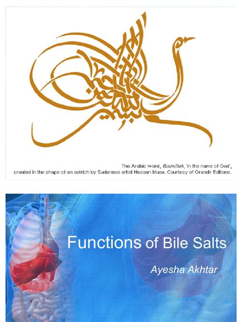 Functions of Bile Salts | PDF | Bile | Cholesterol