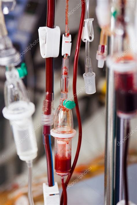 Blood Transfusion In Hospital Stock Photo Beerkoff