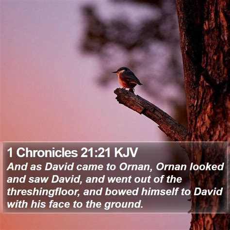 1 Chronicles 21 21 KJV And As David Came To Ornan Ornan Looked And Saw