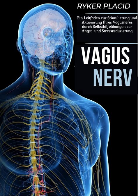 Amazon VAGUS NERVE Eine Anleitung Zur Stimulierung Und