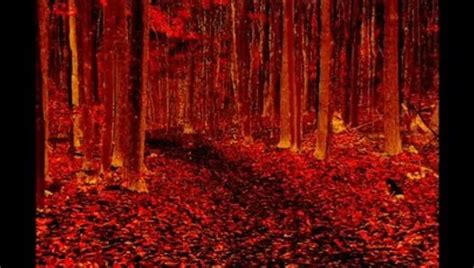 Free Public Stripping Porn Videos Xhamster