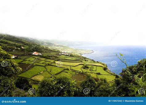 Azores Island - Portugal stock photo. Image of coast - 11057342