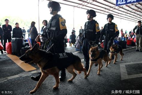 15幅圖見證中國特警的風采，讓人情不自禁地喜歡上了這群熱血男兒 每日頭條