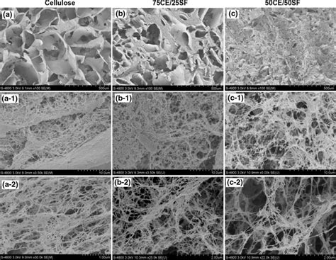 The Morphology Of Porous Sponges With Varied Blend Ratios A Porous