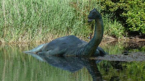 Nessie - 8 Facts About Loch Ness' Most Elusive Resident – Page 8