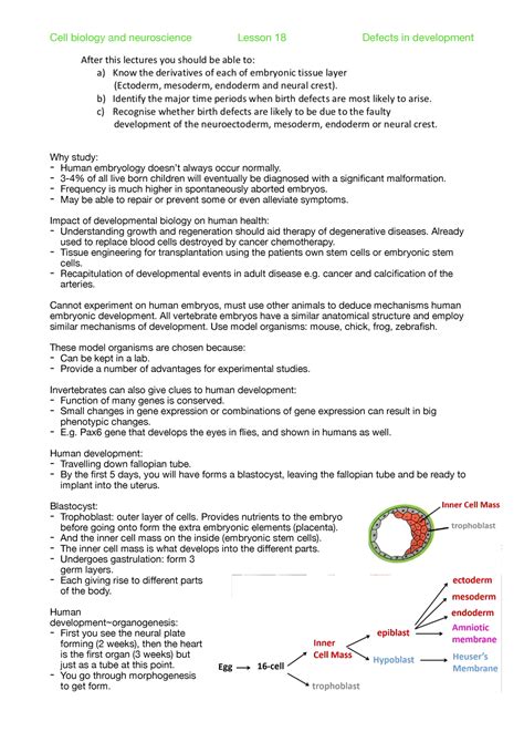 19) Defects in development - Why study: - Human embryology doesn’t ...