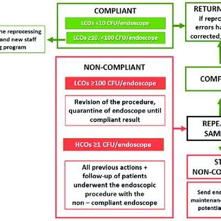 Flowchart Of Fundamental Steps Of Microbiological Surveillance On