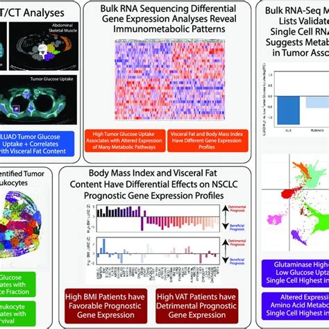 Overview Of A Multimodal Approach To Immunometabolic Phenotyping Of