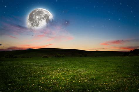 Photo Nature Sky Moon Grasslands Grass Evening