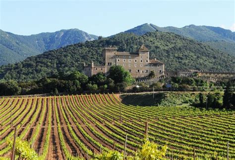 La Conca de Barberà o el reino del Trepat