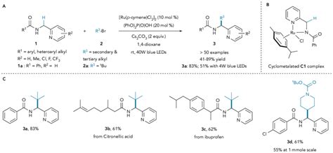 Scheme 1 A Visible Light Induced Ruthenium Catalysis Enables Selective