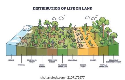 Biosphere Vector Illustration Labeled All Natural Stock Vector Royalty