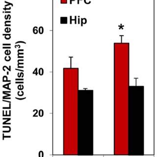 Ocm Impairment Is Involved In Ethanol Induced Oxidative Dna Damage And