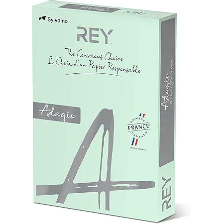 REY ADAGIO Papier Couleur Vert Vif 80g A3 PEFC Ramette De 500