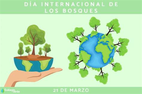 Día Internacional de los Bosques cuándo es y por qué se celebra Resumen