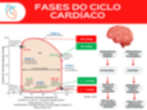 SOLUTION Mapa Mental Anatomofisiologia Cardiorrespirat Rio Studypool