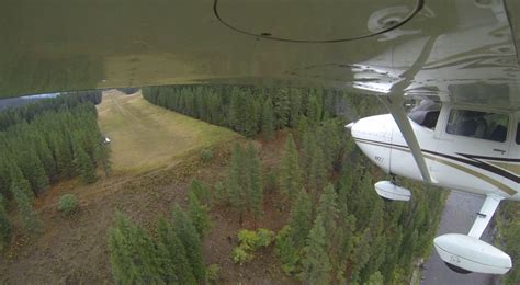 Moose Creek Usfs Id Shortfield