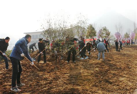 新年添新绿 龙游县开展全省联动义务植树活动