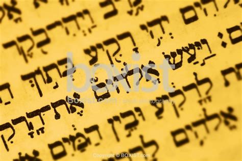 Printed Text of Elohim Name in Hebrew Bible - Boxist.com Photography ...