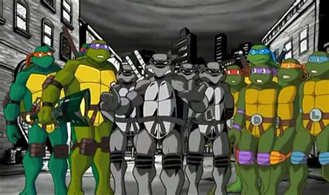 Image Turtles Forever  Tmntpedia Fandom Powered By Wikia