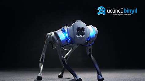 Yapay Zeka Tabanlı Robot Köpek Programlama Kursu Python ve C ile