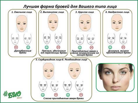 Правильная форма бровей. | «БиоДент»