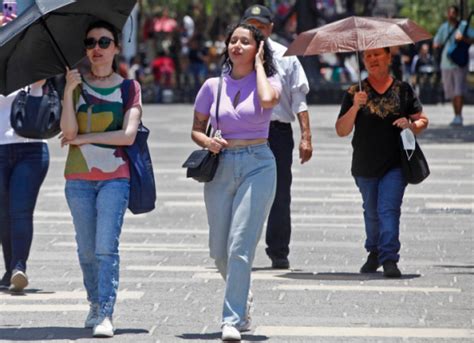 Verano de 2023 fue el más caluroso de los últimos 2 mil años según estudio