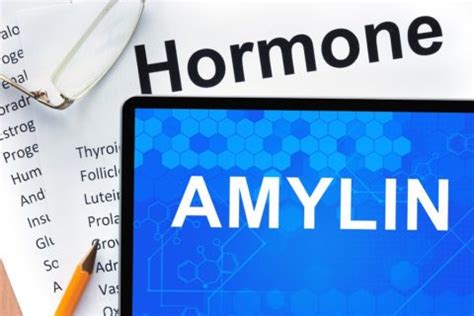 Amylin: Function, Associated Diseases, & Drugs - SelfHacked