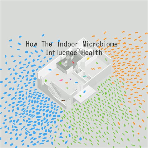 How the Indoor Microbiome Influence Health – The Chicago Council on ... 