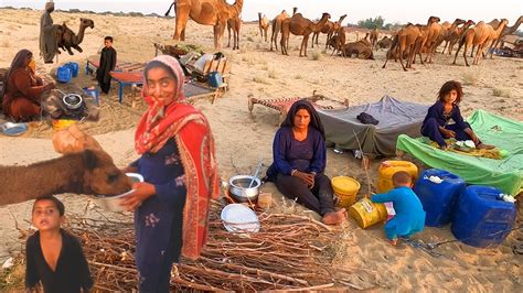 Desert women Evening Routine | Cooking and camel milking | Nomadic Life Cholistan Desert - YouTube