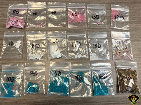 InQuinte Ca OPP Charge 10 People In Bancroft Drug Case