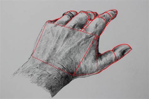 How to Draw a Realistic Hand - Pintando.org