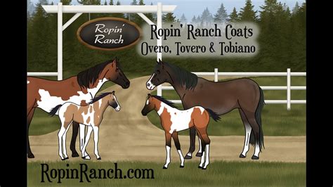 Ropin' Ranch | Overo, Tovero and Tobiano - YouTube