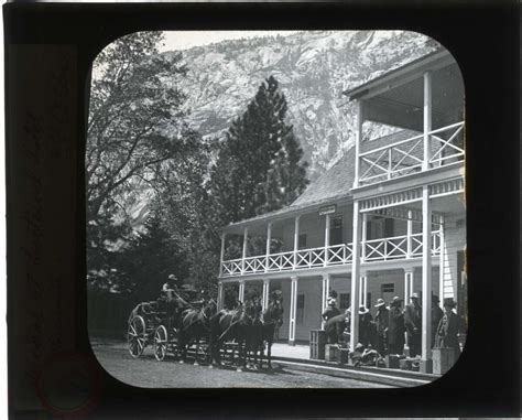 Rare photo archive donation shows glory of Yosemite National Park in 1903