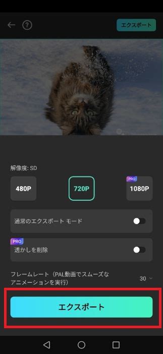 動画や写真を反転回転するアプリおすすめ6選スマホパソコン