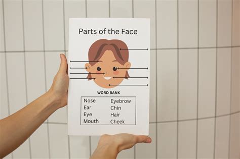 Parts of the Face Worksheet Childrens Worksheet Instant Download ...