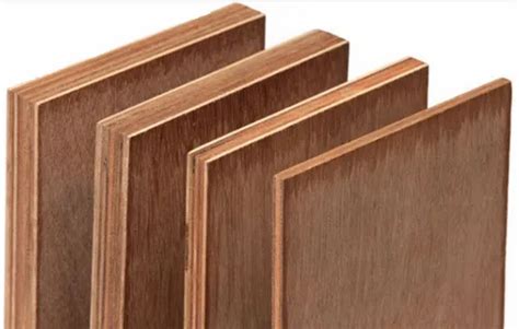 Poplar Eucalyptus Gurjan Brown Waterproof Plywood Board For Furniture