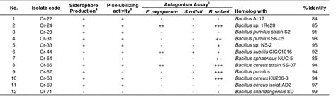 Characterization Of Bacillus Sp Strains Isolated From Rhizosphere Of