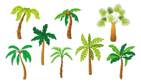 Hawaiian Palm Trees Cartoon