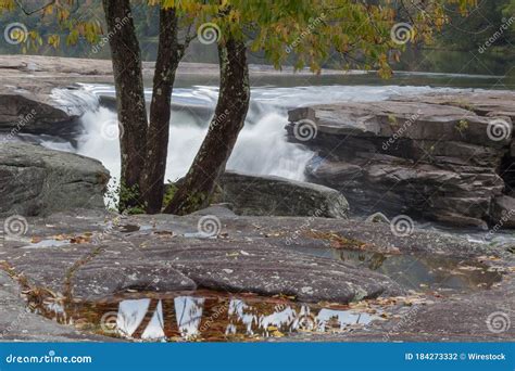 Trees Surrounded By The Tygart Valley River At Daylight In Valley Falls