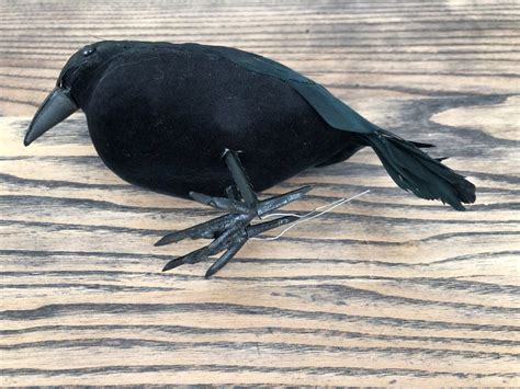 Krähe Rabe Vogel Dekoration Halloween Herbst Hexen Wicca Kaufen auf