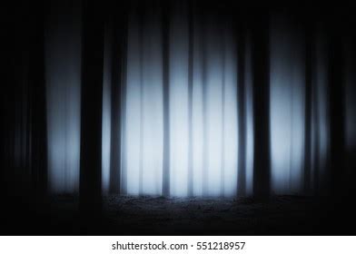 Dark Scary Forest Stock Photo 551218957 | Shutterstock