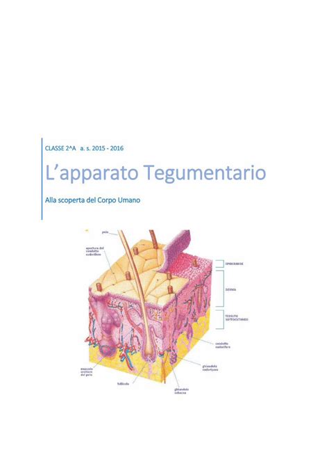 Pdf Relazione Di Classe La Pelle Dokumen Tips