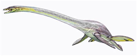 Elasmosaurus Tu Web Especializada En Dinosaurios