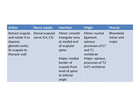 09 - SCAPULAR REGION anatomy. Detailed anatomy | PPT