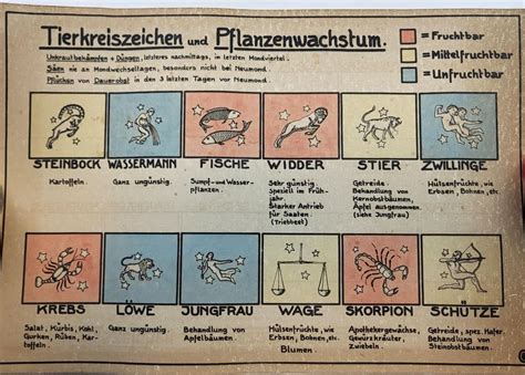 Tierkreiszeichen Und Pflanzenwachstum Lithographie Kaufen Auf Ricardo