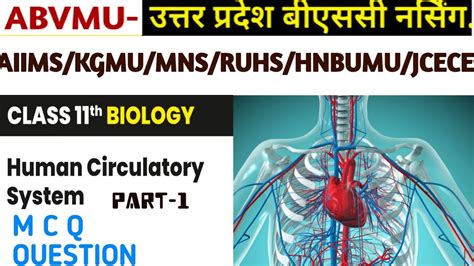 Class Th Mcqs Of Circulatory System Multiple Choice Question On